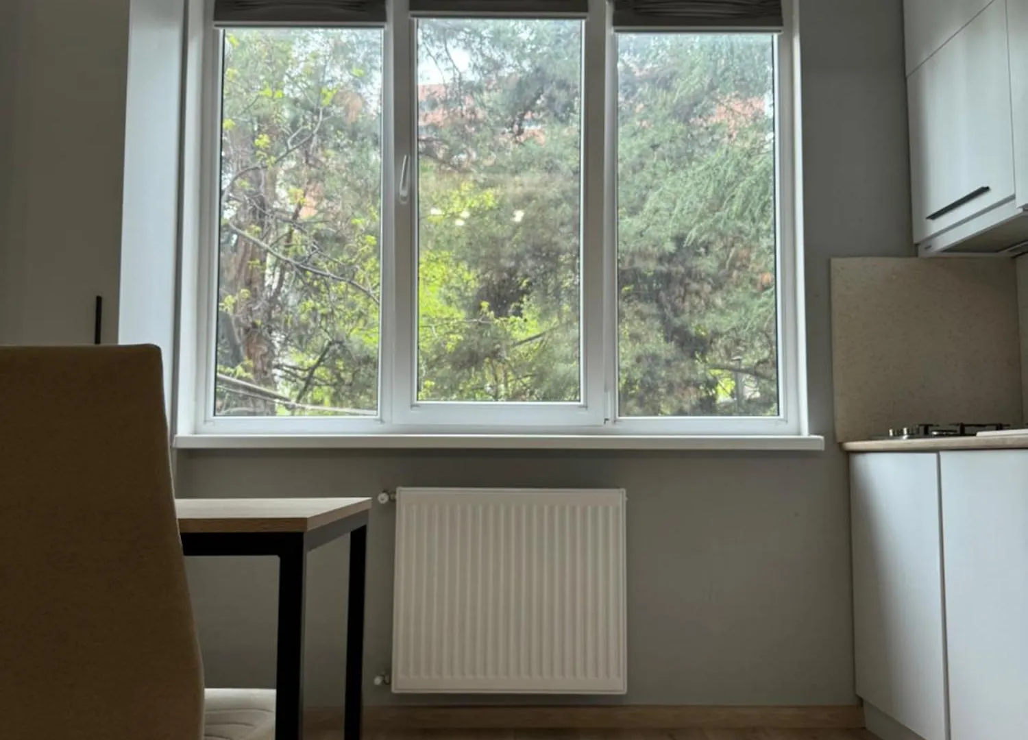 Cosy Apartment In The City Center Tbilisi